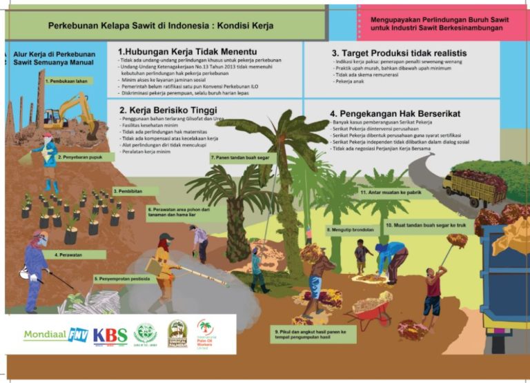 GAMBAR INFOGRAPHIC-KONDISI KERJA PERKEBUNAN SAWIT INDONESIA-KBS INDONESIA